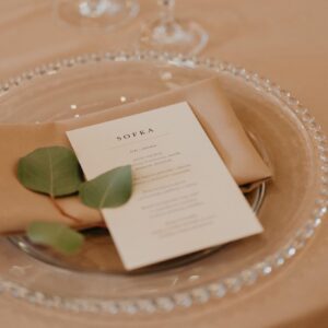 Transparentný klubový tanier s guličkovým okrajom